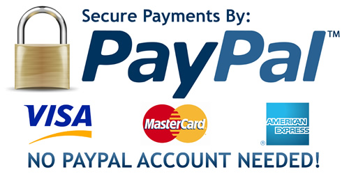PayPal payment system